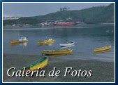 Temporada 2010